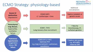 Neonatal ECMO Physiology