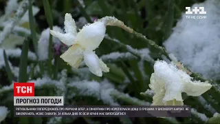 Погода в Україні: рятувальники попереджають про рвучкий вітер до 20 метрів за секунду