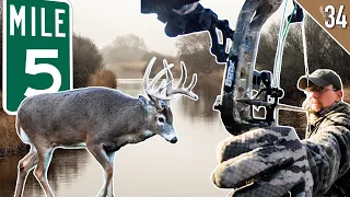 Buck Traveled HOW FAR???  (Bowhunting Public Land Whitetails)