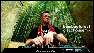 Disco House Mix @ Bamboo Forest / Purple Disco Machine, Milk & Sugar, Dirty Channels