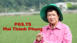 Quy trình canh tác lúa chi phí thấp, lợi nhuận cao