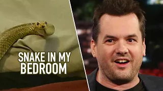 Jim Jefferies - How You Deal With A Snake In Australia