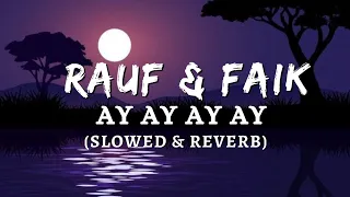 Rauf & Faik: Childhood Cute Version Slowed & Reverb | Lofi Song 2023 | #lofi #lofimusic #lofisong