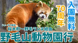 【横浜市西区】じょーすけ散歩『桜木町〜野毛山動物園』編【祝！70周年！】