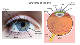 An Approach to a Red Eye