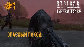 Поход к центру Зоны| Liberated RP [ Dayz Stalker Area of Decay ] #1