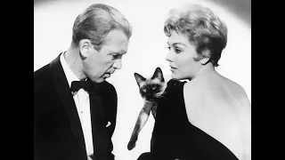 Kim Novak Talks Art and Her Career