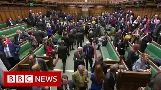 Brexit vote: What exactly MPs are voting on? - BBC News