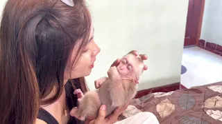 Mother dressing and has wseet time with baby monkey Miker until he sleep