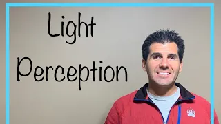 What Does it Mean to Have Light Perception Vision And What Does it Look Like?