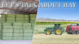 Harvesting hay to feed our cattle. What makes for high quality alfalfa hay.