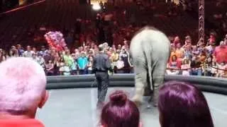 The Ringling Bros and Barnum & Bailey Circus 2014 Part 4