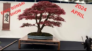 Expo bonsai show 2024 April