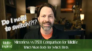 Mirrorless vs DSLR for Wildlife Photography - Nikon and Birds (Z6ii vs D500/D850/D4s)