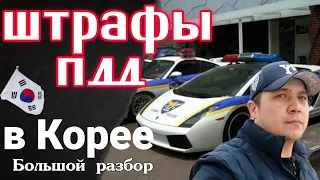 ❗Нарушение и штрафы ПДД в Ю. Корее || Разбор штрафов