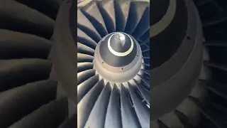 The Rolls Royce RB211 engine on the Negus BA 747 spinning in the Cotswold wind!