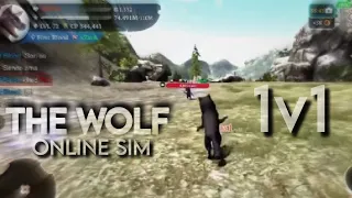 THE WOLF ONLINE SIM - Pvp 1v1 with Fak