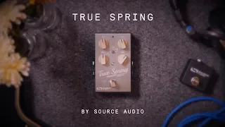 Source Audio True Spring Reverb / Tremolo (demo)