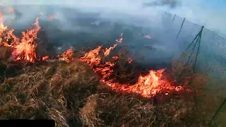 Hasiči Borohrádek - Požár louky - Čermná nad Orlicí