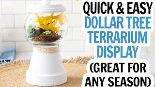 Dollar Tree Terrarium / Clay Pot Craft Idea / Dollar Tree Vase Craft / Fish Bowl Vase DIY / Spring