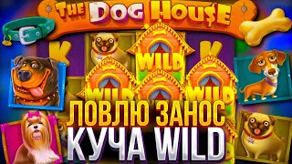 ПОКУПАЮ ТОПОВЫЕ БОНУСКИ В В DOG HOUSE! ЛОВЛЮ ЗАНОС!