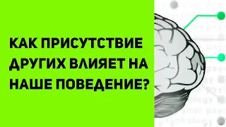 Как люди влияют на нас? | Что такое социальная фасилитация и ингибиция