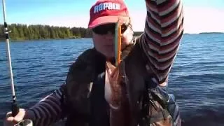 Rapala рулит первый щупарь