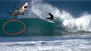 GREAT WHITE SHARK AT WSL J-BAY SURF COMPETITION !!