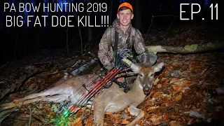 BIG FAT DOE KILL! (HUGE BEAR) - PA Bow Hunting 2019 S. 1 Ep. 11