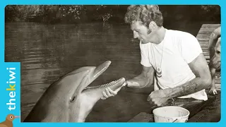 The sad end of the dolphin who played Flipper