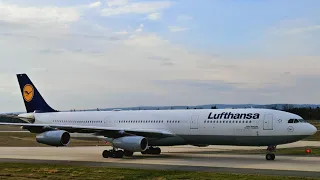 Landung eines Lufthansa Airbus A340-300