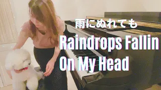 Raindrops Keep Falling On My Head - Piano Cover - 雨にぬれても