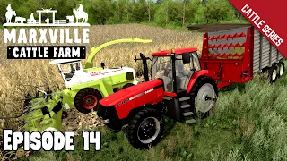 SILAGE HARVEST! | Marxville Wisconsin | Episode 14 | FS19