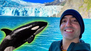 Seward Alaska Day Trip: Best Breakfast & Wildlife Glacier Tour!