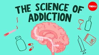 What causes addiction, and why is it so hard to treat? - Judy Grisel