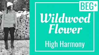 Wildwood Flower - Key of D | Fiddle Play Along - High Harmony