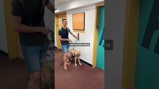 How my guide dog “talks” to me (amazing!) #shorts