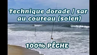 Technique de pêche pour dorades et sars : eschage du couteau ou solen