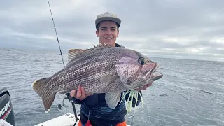 Big Dhufish Catch and Clean in Rough Conditions