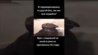 ТИК ТОК МЕМЫ #shorts #мемы #tiktok #youtube #рекомендации #рек #тренды #fyp #pov #жиза #бебра