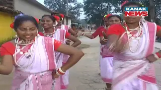 Nuakhai Celebration Underway With Traditional Music & Dance In Sundergarh