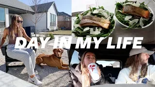 Vlog: New Outdoor Furniture, Healthy Salad recipe, breaking whole30! | Julia & Hunter Havens