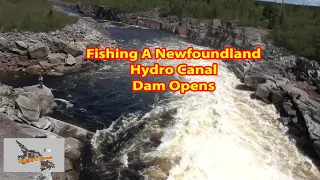 TROUT FISHING NEWFOUNDLAND.... Newfoundland's large hydro canal systems near Miller Town