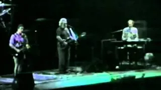 terrapin 9-14-90