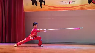 Wushu Performances 武术表演 (1)