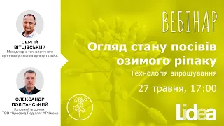 Вебінар: Огляд стану посівів озимого ріпаку