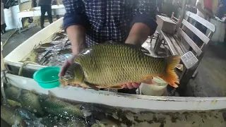 Xorazm Urgench bolik bozor-Рыбный рынок-Fish Market