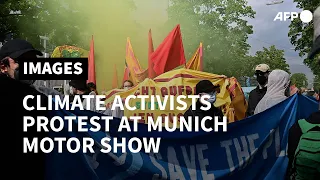 Environmental activists protest on sidelines of Munich International Motor Show (IAA) | AFP