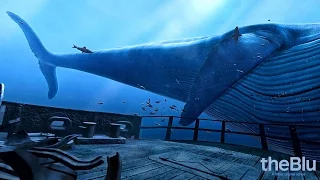 TheBlu VR #2 | Blue Whale Encounter (HTC Vive Gameplay)