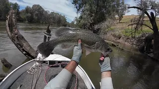 60+km Murrumbidgee River Drift chasing Murray Cod